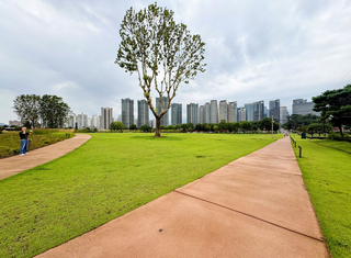 韓国・龍山公園のマンション建設案、不動産価格抑制に向けた政府の苦肉の策